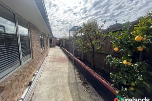 RBPR010699-RBPI019168